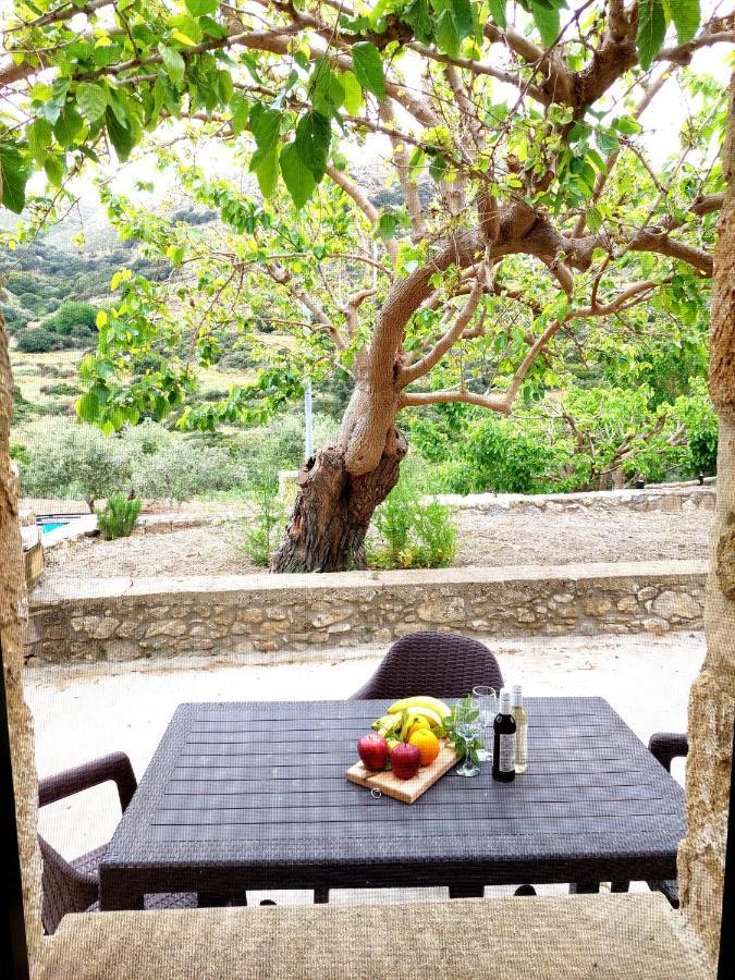 קיסאמוס Petrakis Cretan Homes מראה חיצוני תמונה