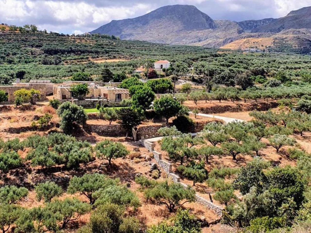 קיסאמוס Petrakis Cretan Homes מראה חיצוני תמונה