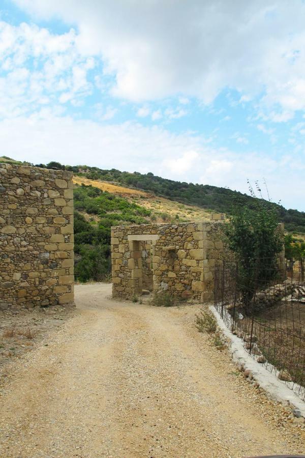 קיסאמוס Petrakis Cretan Homes מראה חיצוני תמונה