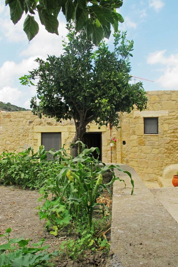 קיסאמוס Petrakis Cretan Homes מראה חיצוני תמונה
