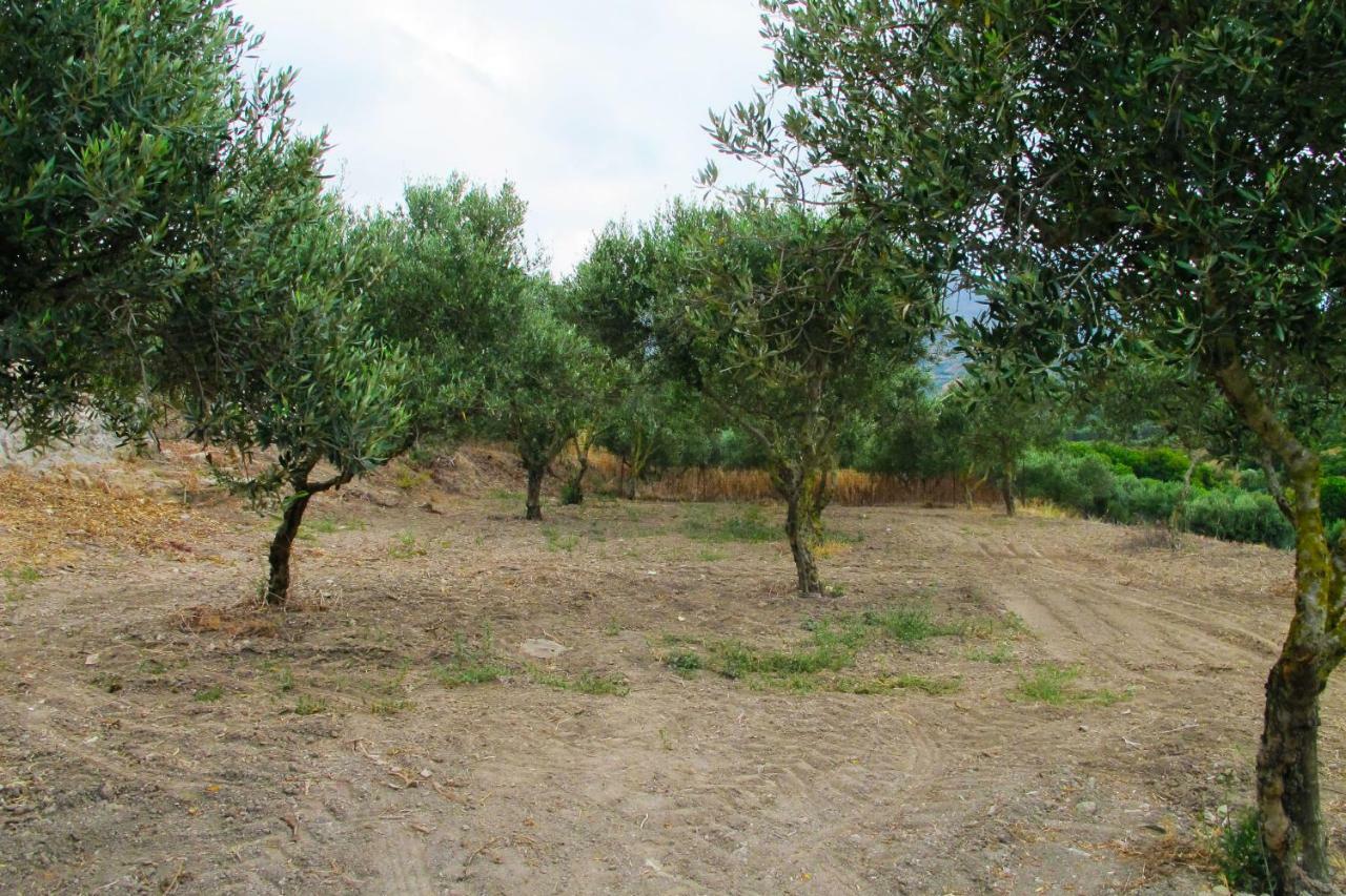 קיסאמוס Petrakis Cretan Homes מראה חיצוני תמונה