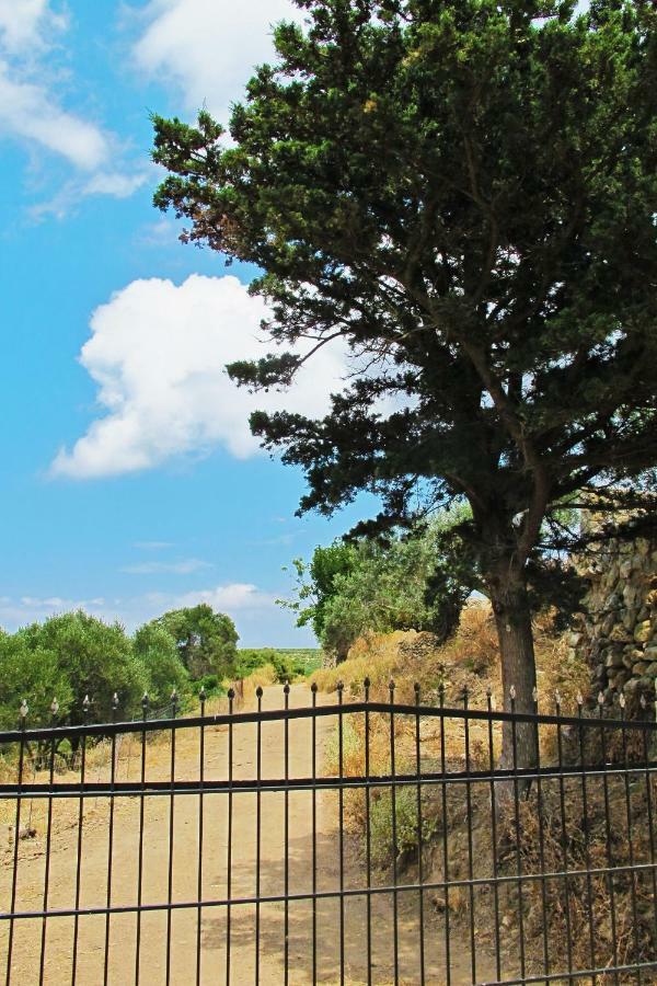 קיסאמוס Petrakis Cretan Homes מראה חיצוני תמונה