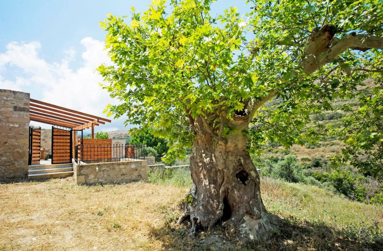 קיסאמוס Petrakis Cretan Homes מראה חיצוני תמונה